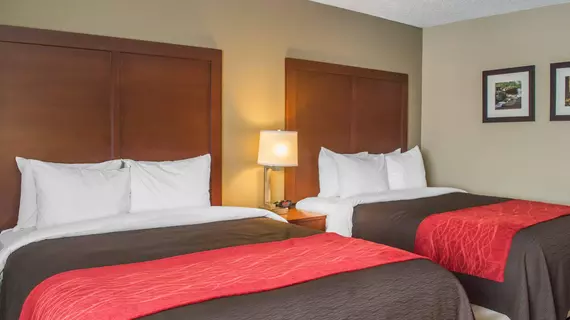 Comfort Inn Mayfield Heights Cleveland East | Ohio - Cleveland (ve civarı) - Mayfield Heights