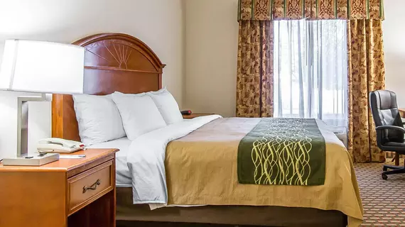 Comfort Inn and Suites Norman | Oklahoma - Oklahoma City (ve civarı) - Norman