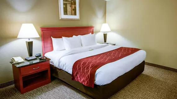 Comfort Inn Greencastle | Pensilvanya - Gettysburg (ve civarı) - Greencastle