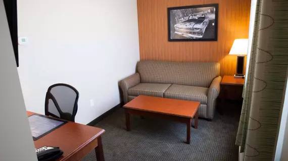 Best Western Plus Service Inn & Suites | Alberta - Lethbridge (ve civarı) - Lethbridge