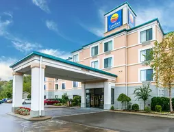 Comfort Inn Downtown Chattanooga | Tennessee - Chattanooga (ve civarı) - Chattanooga - Downtown Chattanooga