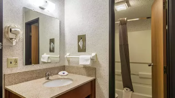 BAYMONT INN & SUITES O'HARE/EL | İllinois - Elk Grove Village