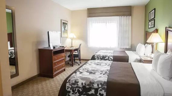 Sleep Inn & Suites Gettysburg | Pensilvanya - Gettysburg (ve civarı) - Gettysburg