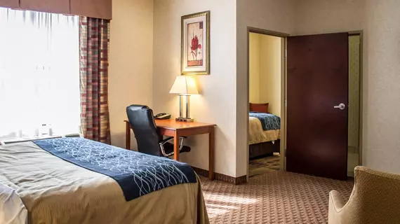 Comfort Inn & Suites Kent | Ohio - Summit İlçesi - Akron (ve civarı) - Kent