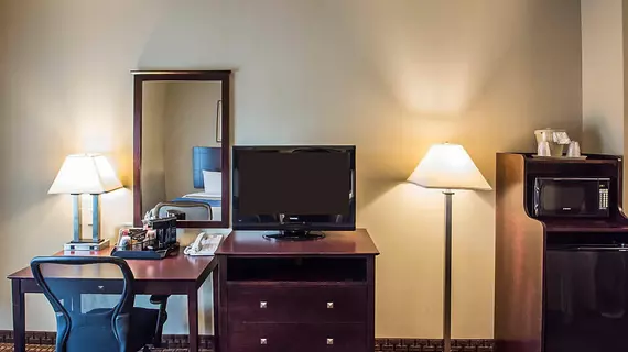 Comfort Inn Rochester | New York - Rochester (ve civarı) - Rochester