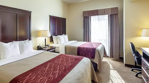 Comfort Inn Near SeaWorld | Teksas - San Antonio (ve civarı) - San Antonio - Batı San Antonio