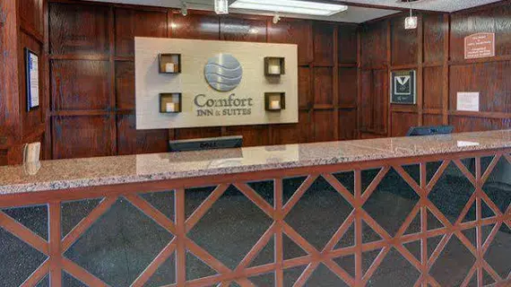 Comfort Inn DFW Airport South | Teksas - Dallas (ve civarı) - Irving