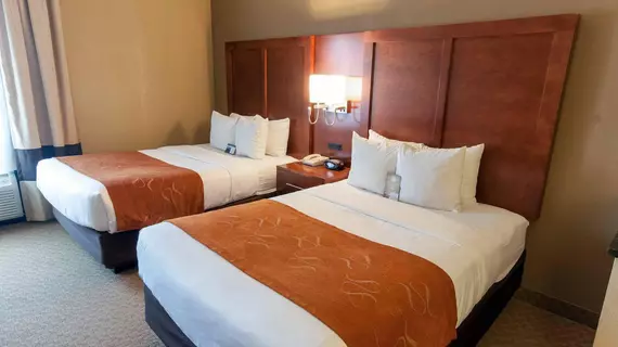 Comfort Suites University Bethlehem | Pensilvanya - Bucks County - Allentown (ve civarı) - Bethlehem