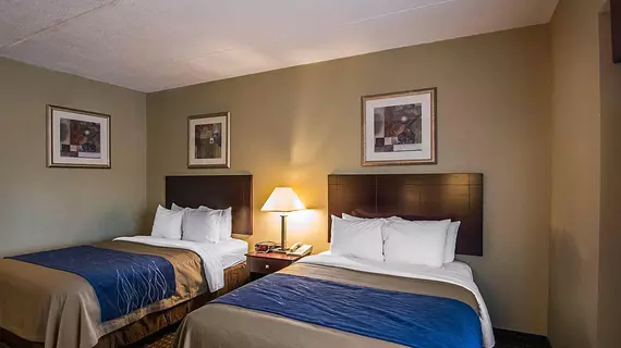 Comfort Inn Rochester | New York - Rochester (ve civarı) - Rochester