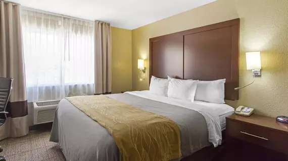 Comfort Inn & Suites Deming | New Mexico - Deming