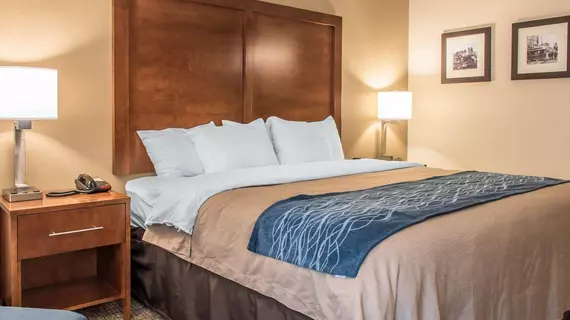 Comfort Inn Clarks Summit | Pensilvanya - Scranton (ve civarı) - Clarks Summit