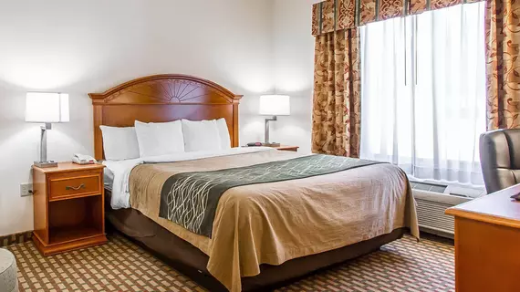 Comfort Inn and Suites Norman | Oklahoma - Oklahoma City (ve civarı) - Norman