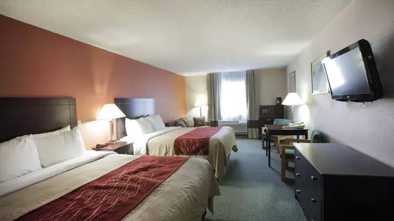 Comfort Inn Cedar Park | Teksas - Austin (ve civarı) - Cedar Park