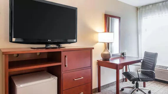 Comfort Inn Near Fallon Naval Air Station | Nevada - Fallon (ve civarı) - Fallon