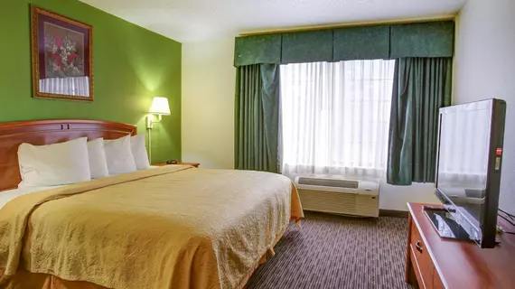 Quality Inn & Suites Austin Airport | Teksas - Austin (ve civarı) - Del Valle