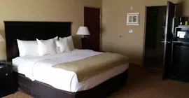 Comfort Suites Mobile | Alabama - Mobile (ve civarı) - Mobile