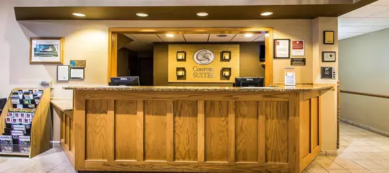 Comfort Suites Portage | Wisconsin - Wisconsin Dells (Wisconsin Vadileri) (ve civarı) - Portage