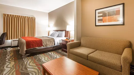 Comfort Inn Downtown Chattanooga | Tennessee - Chattanooga (ve civarı) - Chattanooga - Downtown Chattanooga