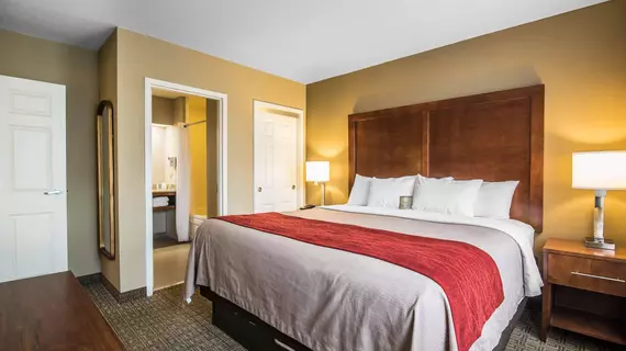 Comfort Inn & Suites North Conway | New Hampshire - North Conway