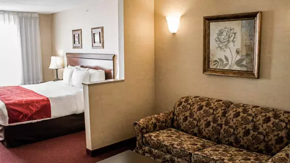 Comfort Suites Lake George | New York - George Gölü (ve civarı) - Lake George