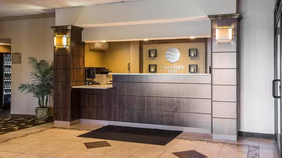 Comfort Inn Albany/Glenmont | New York - Albany (ve civarı) - Glenmont