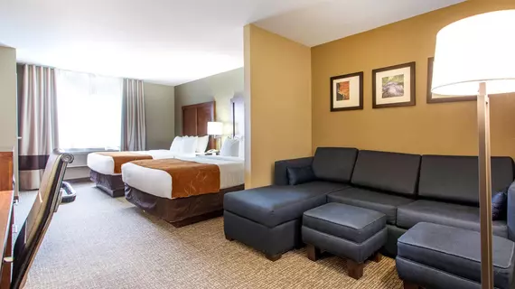 Comfort Suites Johnson Creek | Wisconsin - Fort Atkinson (ve civarı) - Johnson Creek