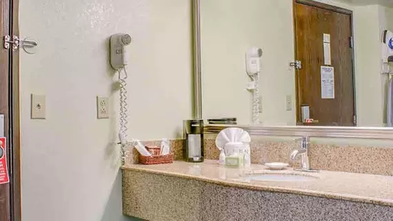 Alexis Inn and Suites Hotel | Tennessee - Nashville-Davidson - Nashville (ve civarı) - Nashville