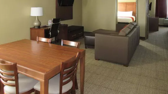 Sleep Inn & Suites Abilene | Teksas - Abilene (ve civarı) - Abilene