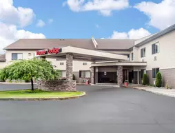 Econo Lodge Ithaca | New York - Ithaca (ve civarı) - Ithaca