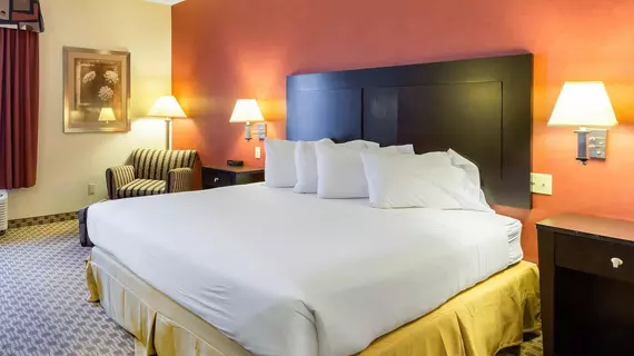 Quality Inn and Suites | Ohio - Cleveland (ve civarı) - Oakwood Village