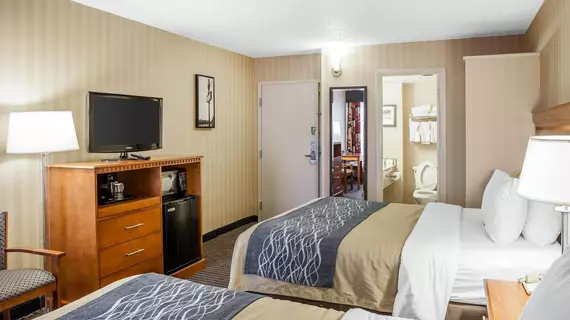 Comfort Inn & Suites Alexandria | Virginia - İskenderiye - Franconia