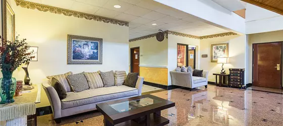 Comfort Suites | Teksas - Houston (ve civarı) - Houston