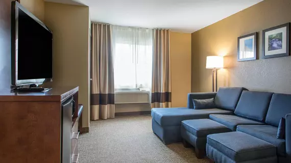 Comfort Suites Johnson Creek | Wisconsin - Fort Atkinson (ve civarı) - Johnson Creek