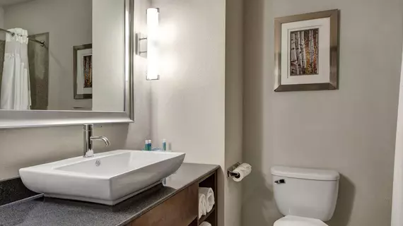 Holiday Inn Express and Suites Oklahoma City North | Oklahoma - Oklahoma City (ve civarı) - Oklahoma