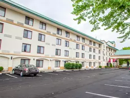 Comfort Inn Near Princeton | New Jersey - Hopewell Township - Princeton (ve civarı) - Lawrenceville