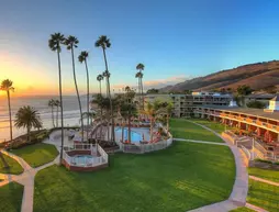 SeaCrest Oceanfront Hotel | Kaliforniya - San Luis Obispo (ve civarı) - Pismo Beach