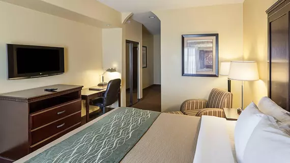 Comfort Inn Near SeaWorld | Teksas - San Antonio (ve civarı) - San Antonio - Batı San Antonio