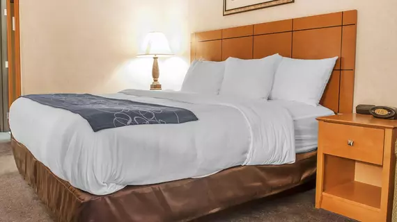 Comfort Suites University Las Cruces | New Mexico - Las Cruces (ve civarı) - Las Cruces