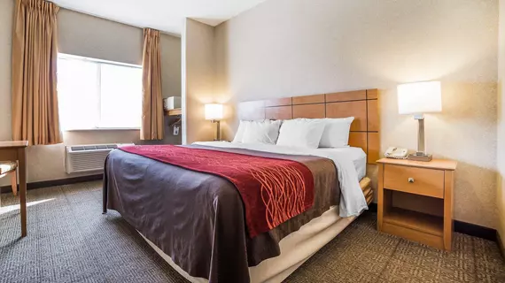 Comfort Inn Great Falls | Montana - Great Falls (ve civarı) - Great Falls