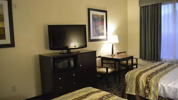 Best Western PLUS Hobby Airport Inn and Suites | Teksas - Houston (ve civarı) - Houston