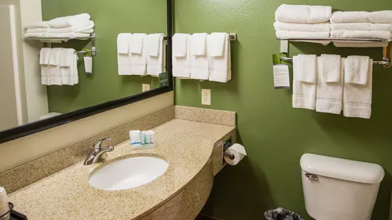 Sleep Inn & Suites Conference Center Eau Claire | Wisconsin - Eau Claire (ve civarı) - Eau Claire