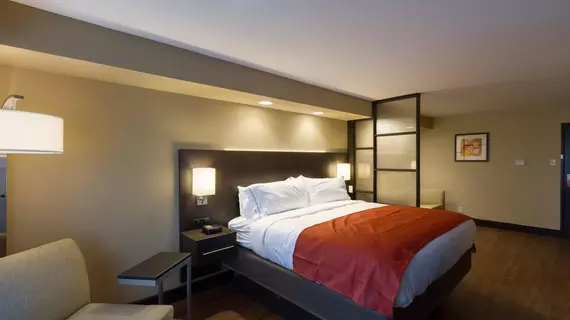 Holiday Inn Express & Suites San Antonio Medical-Six Flags | Teksas - San Antonio (ve civarı) - San Antonio