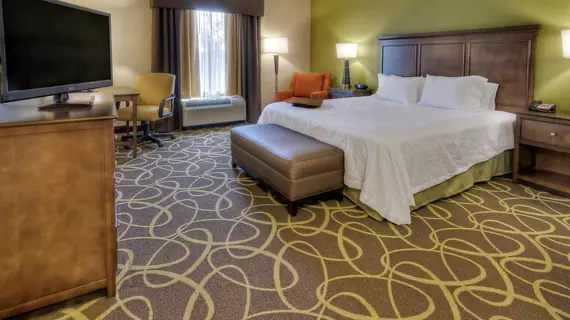 Hampton Inn & Suites Rochester/Henrietta | New York - Rochester (ve civarı) - Rochester