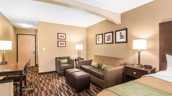 Comfort Inn and Suites Kansas City Northeast | Missouri - Kansas City (ve civarı) - Kansas