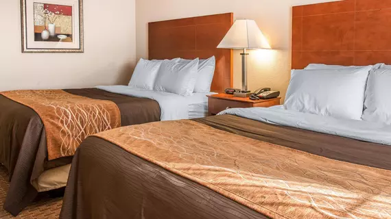 Comfort Inn New Buffalo | Michigan - Benton Harbor (ve civarı) - New Buffalo