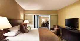 Hyatt Regency Schaumburg Chicago | İllinois - Schaumburg