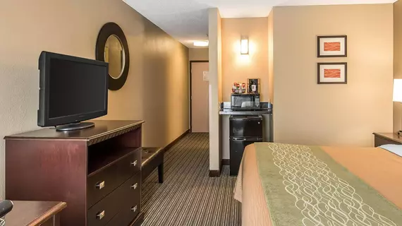 Comfort Inn and Suites Kansas City Northeast | Missouri - Kansas City (ve civarı) - Kansas