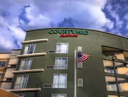 Courtyard by Marriott Charleston Downtown/Civic Center | Batı Virginia - Charleston (ve civarı) - Charleston