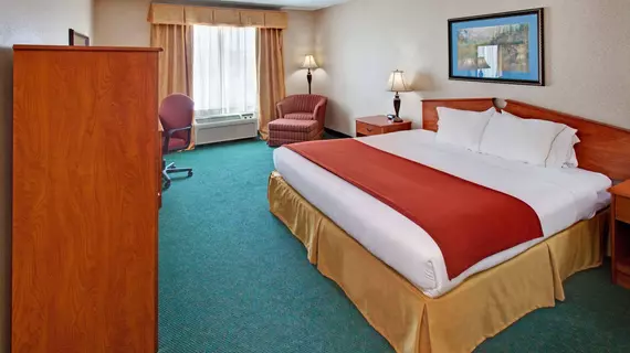 HOLIDAY INN EXPRESS & SUITES D | Kuzey Dakota - Dickinson