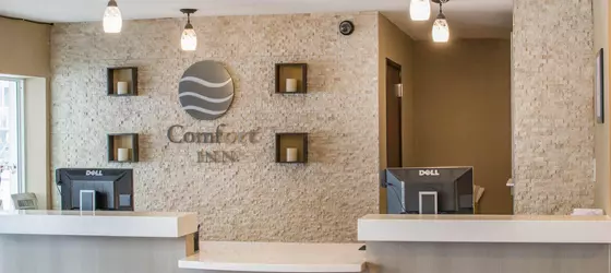 Comfort Inn Mayfield Heights Cleveland East | Ohio - Cleveland (ve civarı) - Mayfield Heights